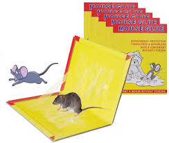Mouse Glue Trap